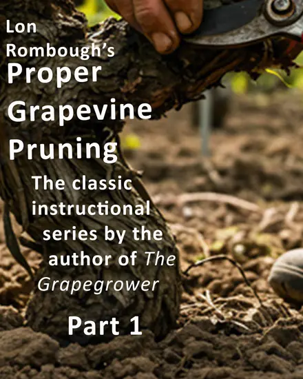 Proper Grapevine Pruning