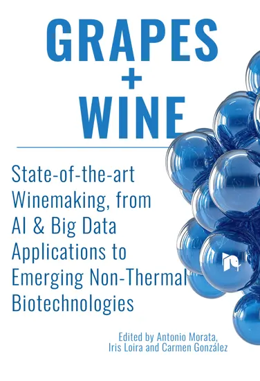 A book about using AI and big data analytics in the cellar and vineyard