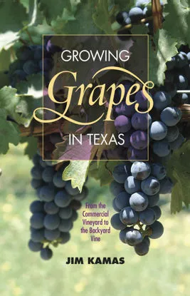 Southwest Winemaking Series